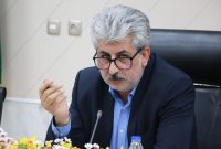 شوراها بازوی اجرایی دولت هستند شوراها بازوی اجرایی دولت هستند