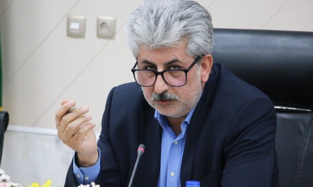 شوراها بازوی اجرایی دولت هستند شوراها بازوی اجرایی دولت هستند