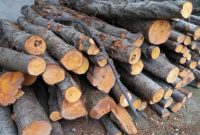 کشف ۴ تن چوب قاچاق در مهاباد
