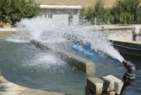 پروژه پرورش ماهی در خلیفان به بهره‌برداری رسید